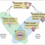multicellml_concept.png